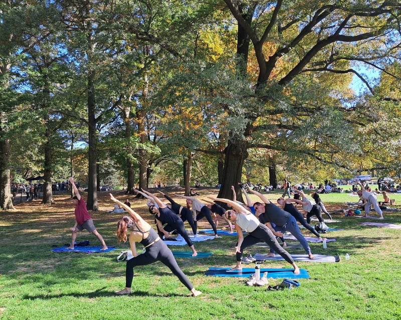 Outdoor Yoga Class on the Grass in Central Park