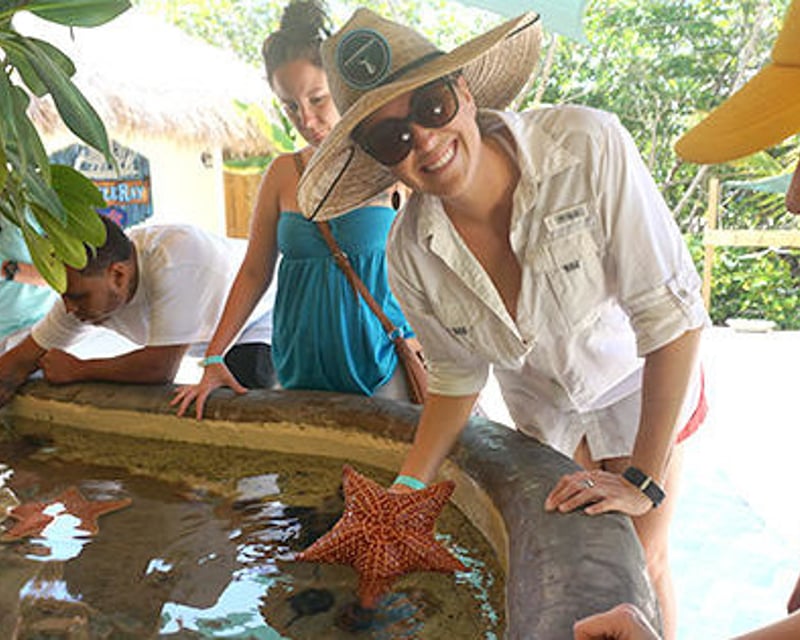 Key West Aquarium Encounters Tour