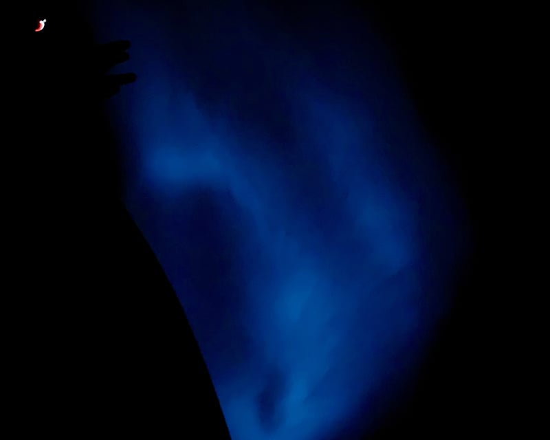 Bioluminescent Bay Boat, Kayak & Swim Tour in La Parguera