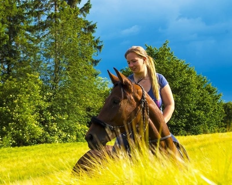 2-Hour Davis Mountains Horseback Trail Ride