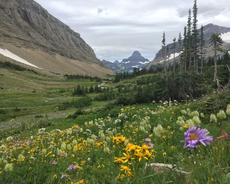 Guided 8-Hour Siyeh Trail Hike in Glacier National Park