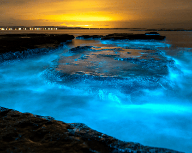 Bioluminescence Clear Kayak Tour on Indian River Lagoon