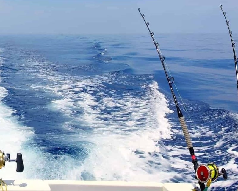 Striped Bass Fishing Charter in Belmar