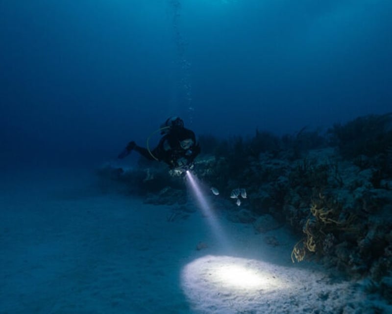 Night Dive & Snorkel Trip in Ramrod Key
