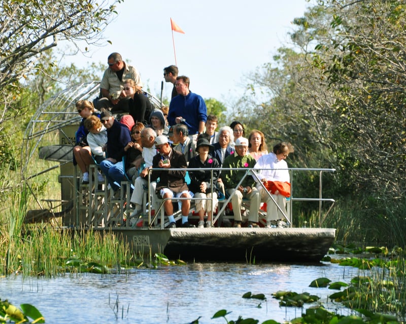 Large Airboat Tour in Luling, Louisiana