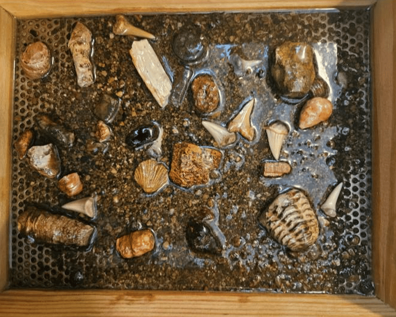 Fossil Gem Panning at Raccoon Mountain Caverns