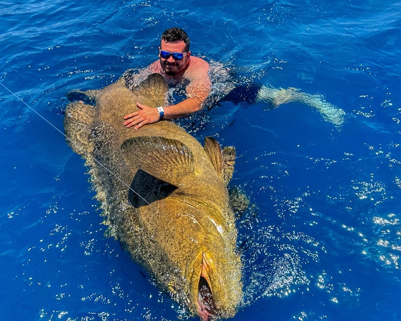 Shark & Goliath Grouper Fishing Charter in Cudjoe Key