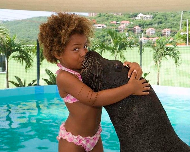 Sea Lion Encounter at Coral World Ocean Park in St. Thomas