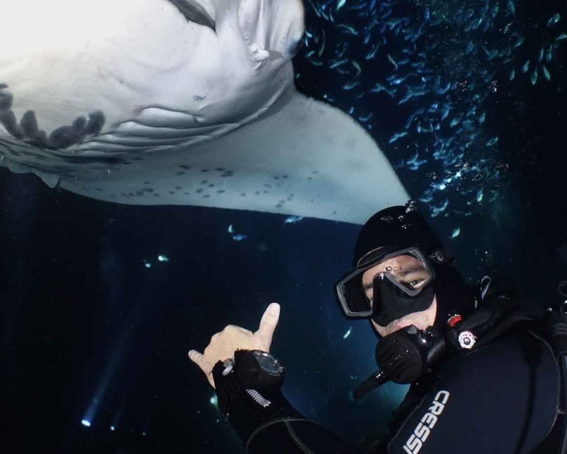 2-Tank Manta Ray Night Dive in Kailua-Kona