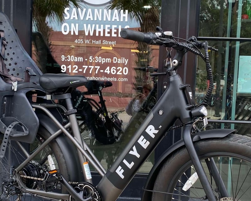 Savannah E-Bike Rental With Child Seat