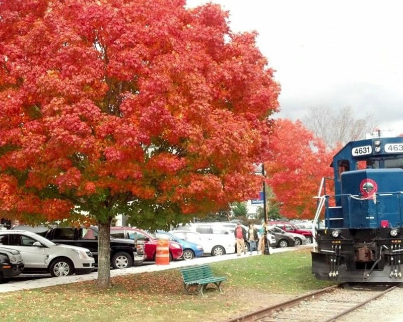 2-Hour Scenic Train Ride in Blue Ridge