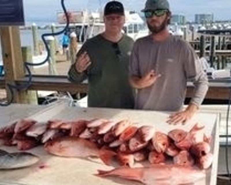 Orange Beach 4-Hour Inshore Fishing Charter