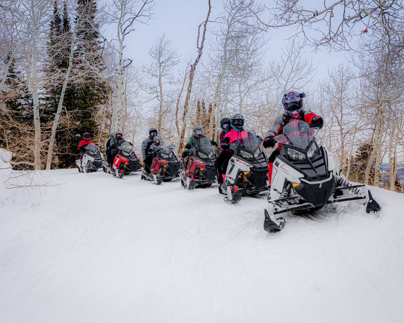 Heber City 2-Hour Guided Snowmobile Tour