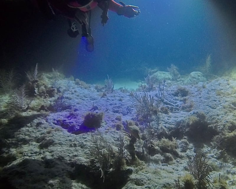 Sunset & Night Scuba Dive for Certified Divers in Key West