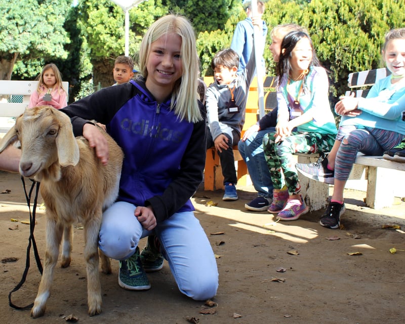 Interactive Animal Encounter in Rancho Santa Fe