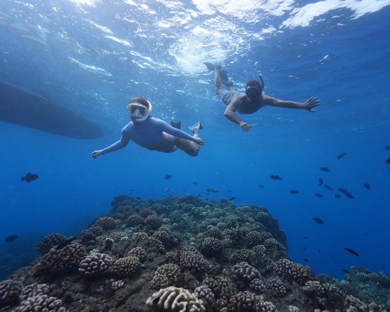 2.5-Hour Snorkel Sail Cruise From Ko Olina