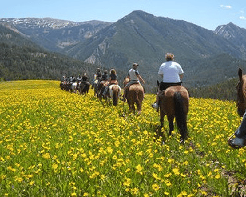 1-Hour Guided Horseback Ride in Gardiner