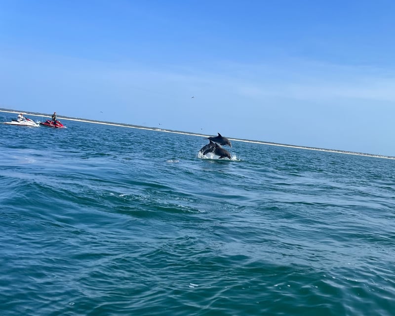 Myrtle Beach Dolphin Jet Ski Tour