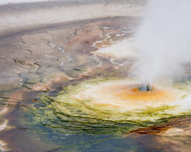Full-Day Yellowstone Tour & Hike