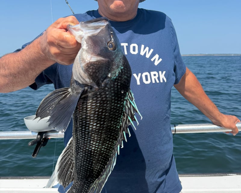 Gardiners Bay Bottom Fishing Trip from Greenport