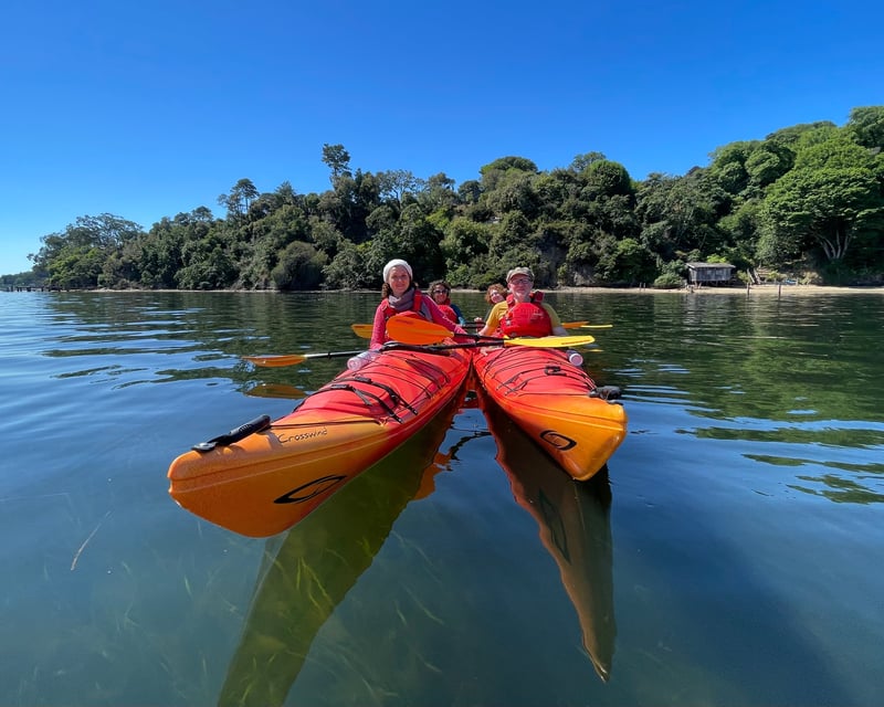 Guided Wildlife Kayak Tour on Tomales Bay