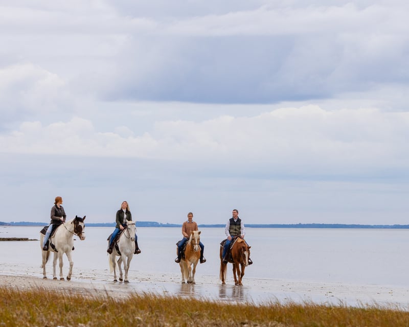 Coastal Horseback Trail Ride on St. Helena Island