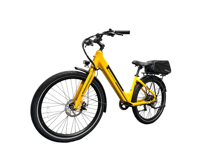 Step-Through E-Bike Rental in Largo With Delivery