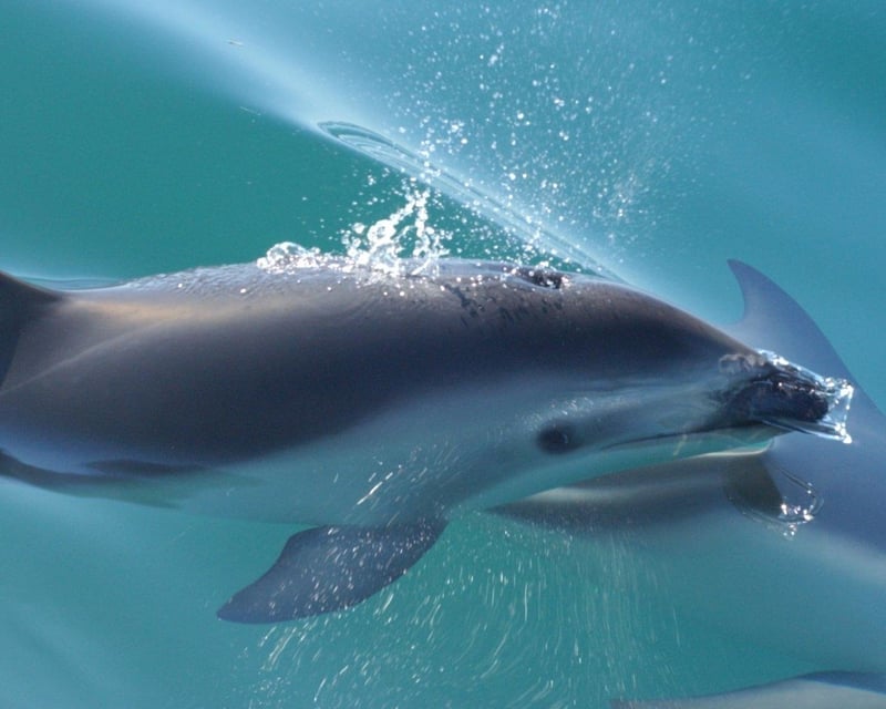 2-Hour Private Sailing Charter in Key West