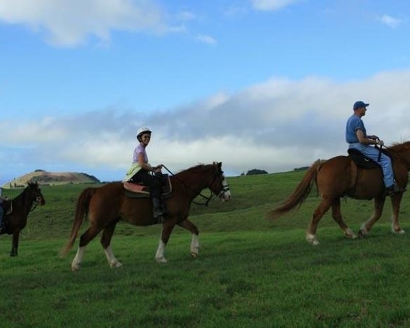 Kohala Mountain Horseback Ride on a Working Cattle Ranch