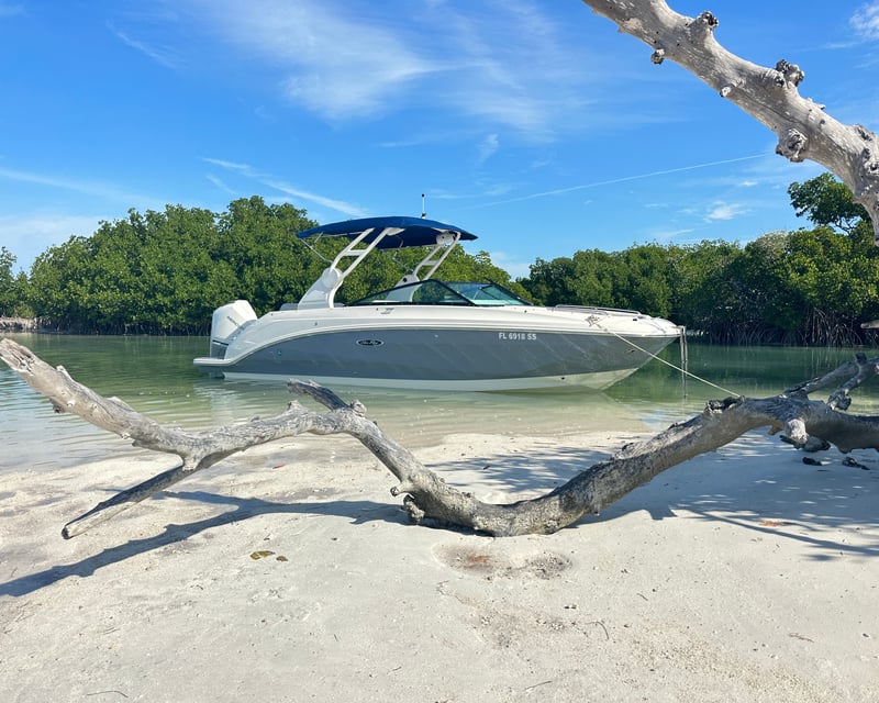 2-Hour Sandbar Boat Cruise