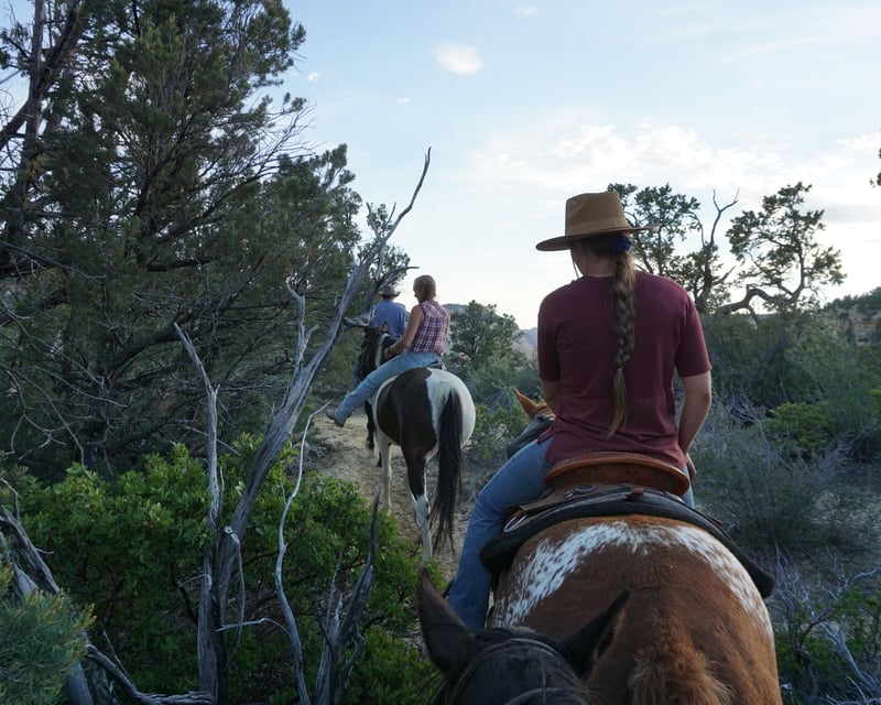 Scenic Overlook Horseback Ride Near Zion National Park