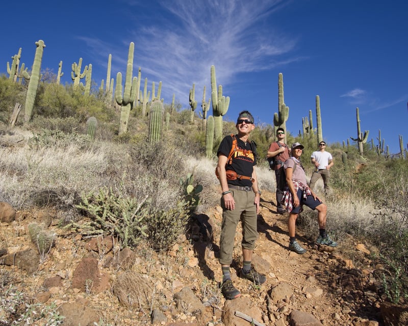2-Hour Guided Sonoran Desert Hike From Phoenix
