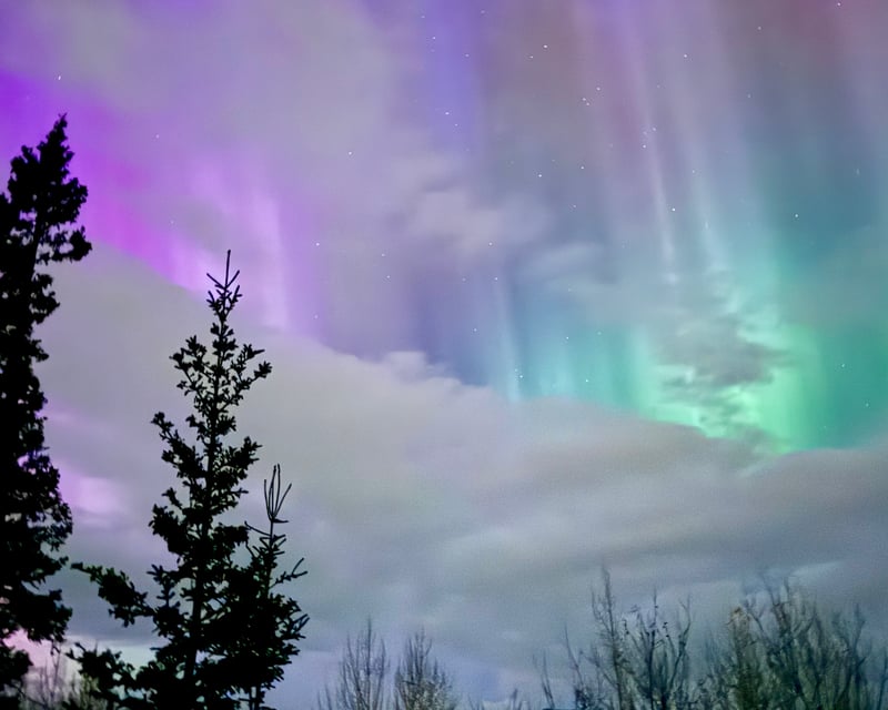 Guided Northern Lights Snowshoe Tour from Palmer