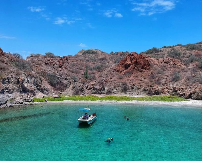 Loreto Danzante & Del Carmen Snorkeling Tour