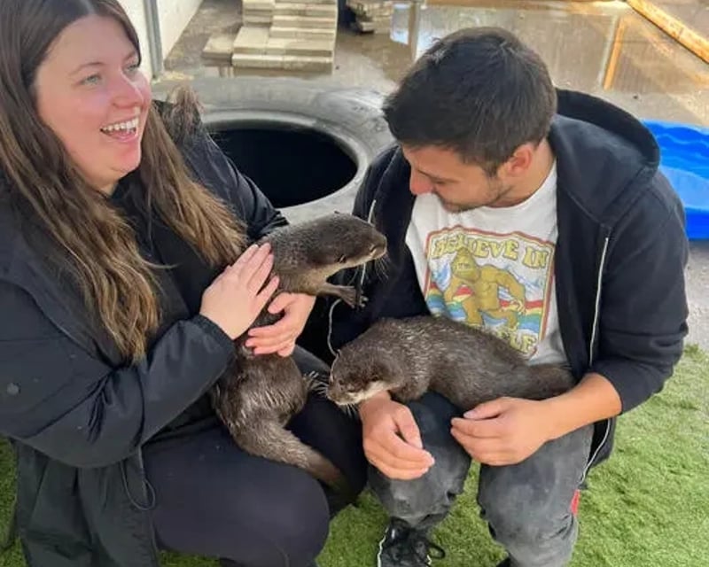 Otter Encounter in Tacoma