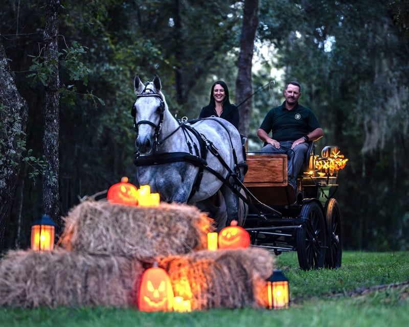 Holiday Horse-Drawn Carriage Ride in Bronson, FL