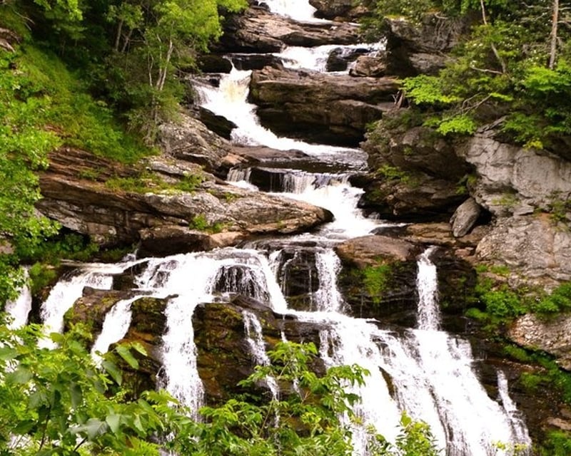 Explore Waterfalls & Rainforests Near Asheville