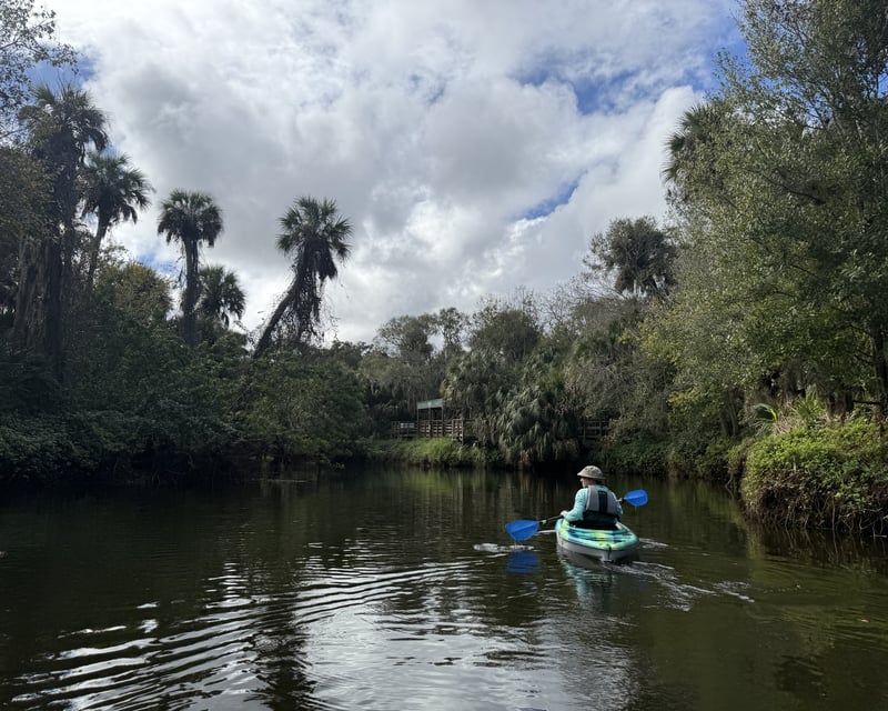 Guided Turkey Creek Kayak Tour in Palm Bay