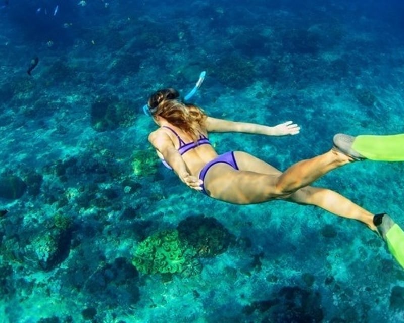 Turtle Canyon Snorkel Boat Tour from Honolulu