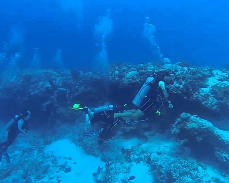 Los Arcos Marine Park Scuba Dive in Puerto Vallarta