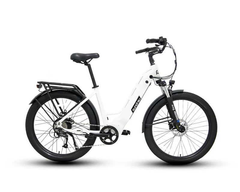 E-Bike Rental with Delivery in North Myrtle Beach