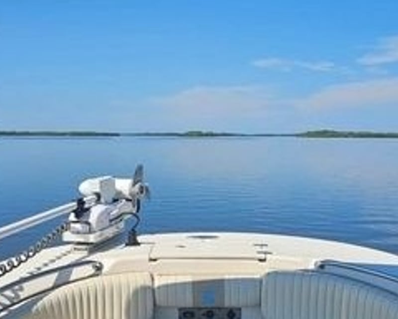 Private Captained Boat Cruise in Crystal River
