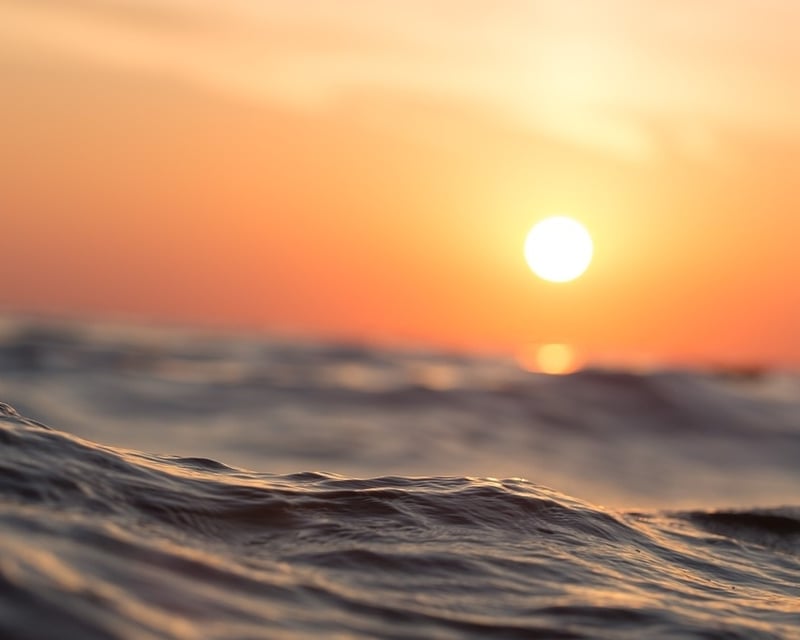 Sunset Cruise in Islamorada, Florida Keys