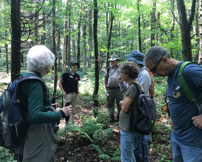 Sagamore Engineering History Hike