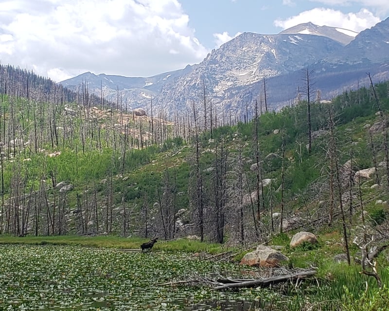 Guided 3-Hour Hike in Rocky Mountain National Park