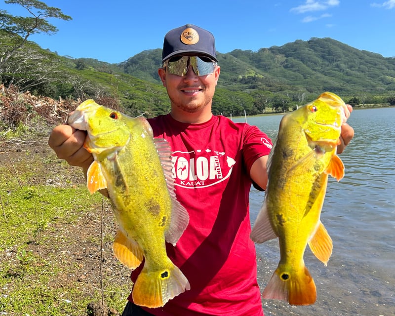 3-Hour Kaua'i Shore Bass Fishing Guided Tour