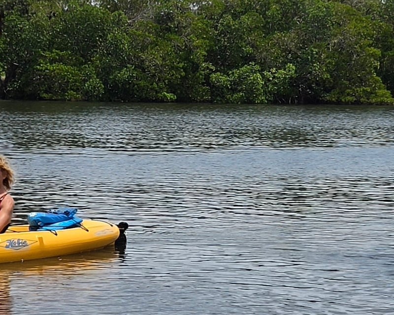 Guided Hobie Pedal Kayak Tour in Tierra Verde