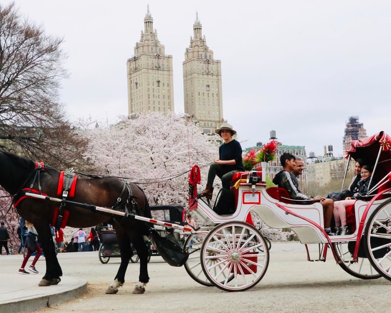 2.5-Mile Central Park Horse Carriage Ride