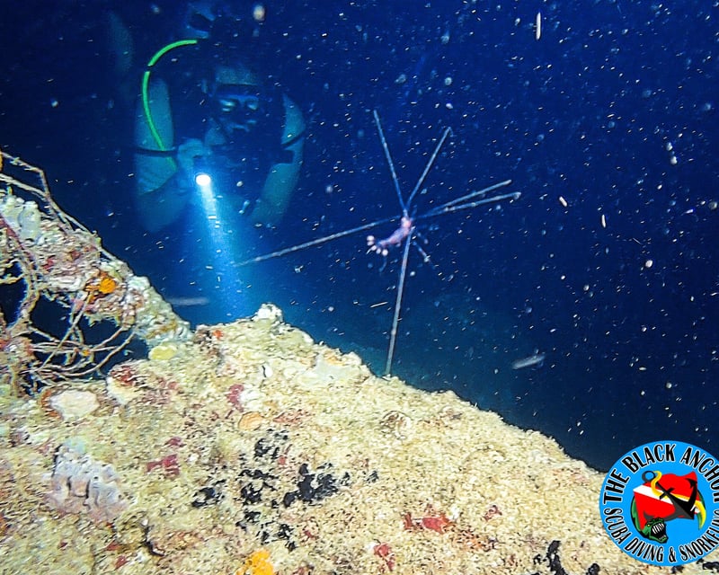 Guided Scuba Night Dive at Crash Boat Beach, Aguadilla