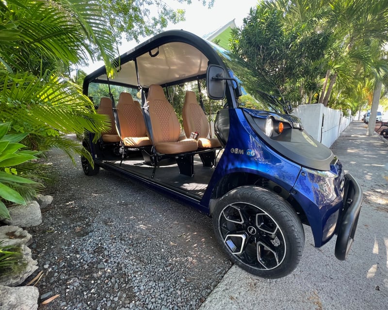 6-Seat GEM Rental in Marathon
